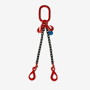 2 Legs Lifting Chain Sling - Eye Selflock Hook - G80